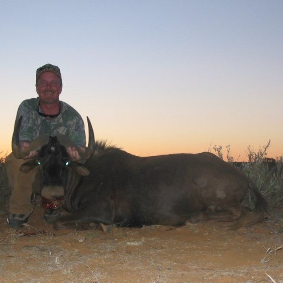 Black-Wildebeest-2013-3
