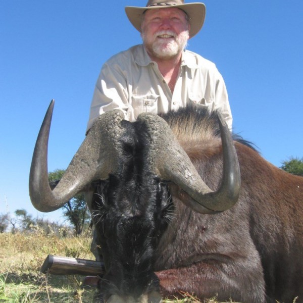 Black-Wildebeest-2013-4
