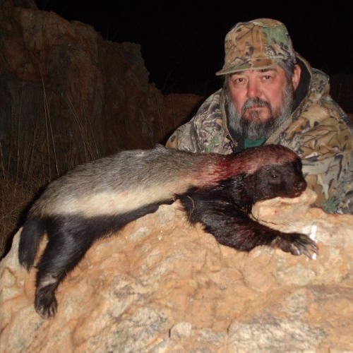 Honeybadger-2013-3