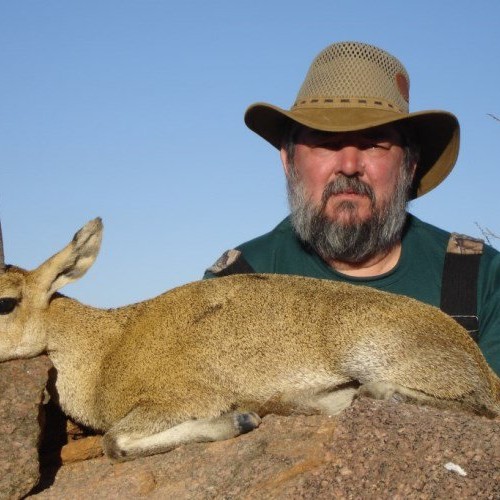 Klipspringer-2013-10