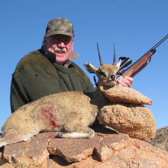 Klipspringer-2013-12