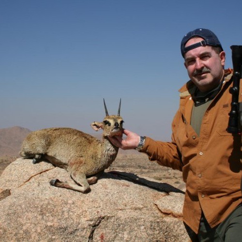 Klipspringer-2013-8
