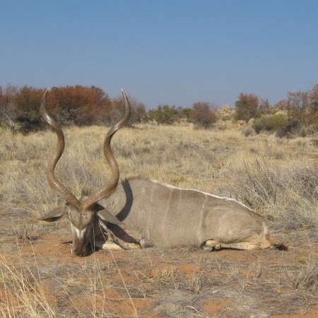 Kudu-2014-3
