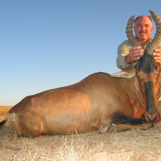 Red-Hartebeest-2013-7