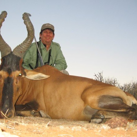 Red-Hartebeest-2014-5