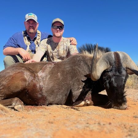 black_wildebeest2