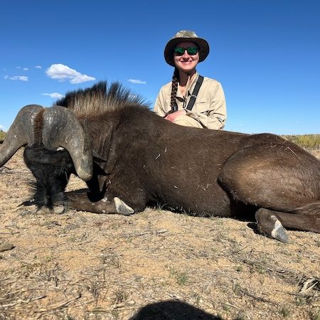 black_wildebeest3