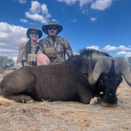 black_wildebeest4