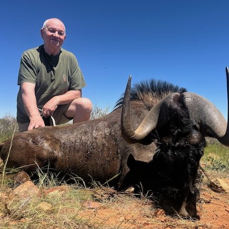 black_wildebeest5