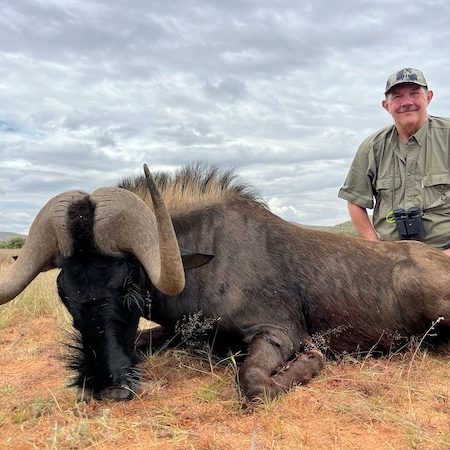 black_wildebeest6