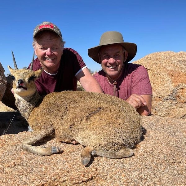 klipspringer1
