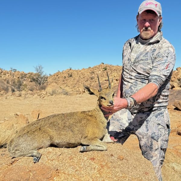 klipspringer2