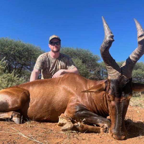 red hartebeest5