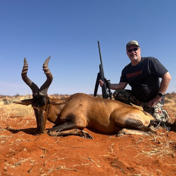 red hartebeest7