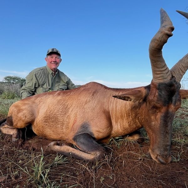 red hartebeest8