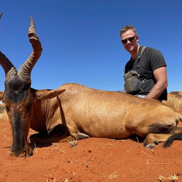 red hartebeest9