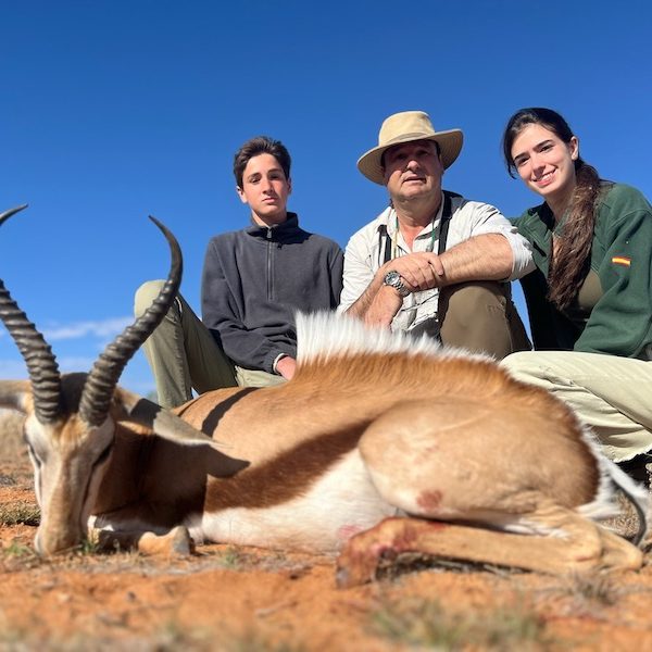 springbok4