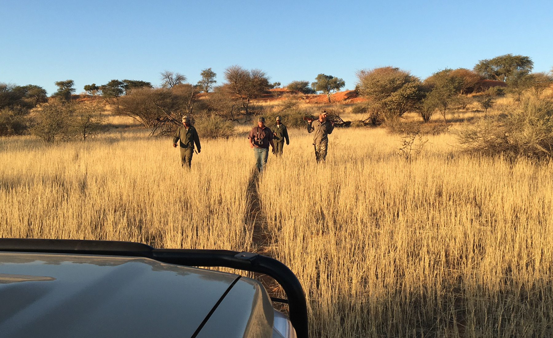 Namibia Safari Corporation Adventure in Africa Awaits!