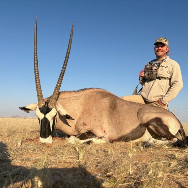 gemsbuck
