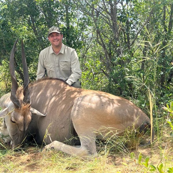 eland1