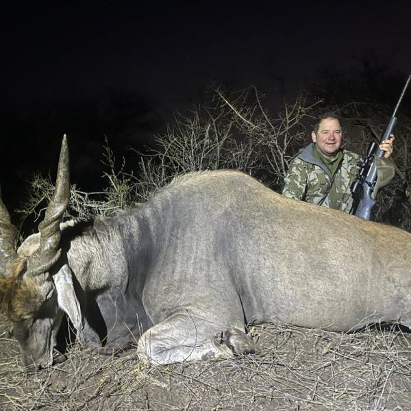 eland2