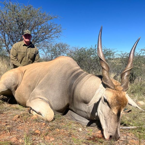 eland4