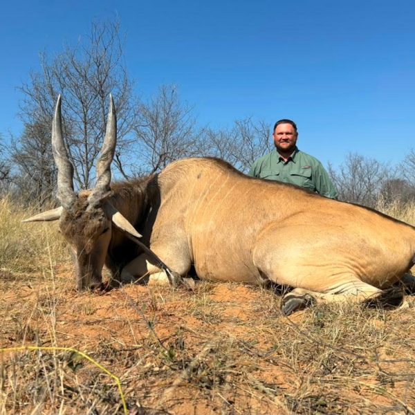 eland8
