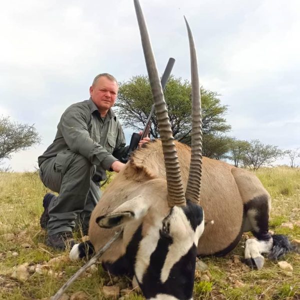 gemsbuck11