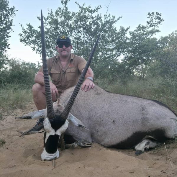 gemsbuck12