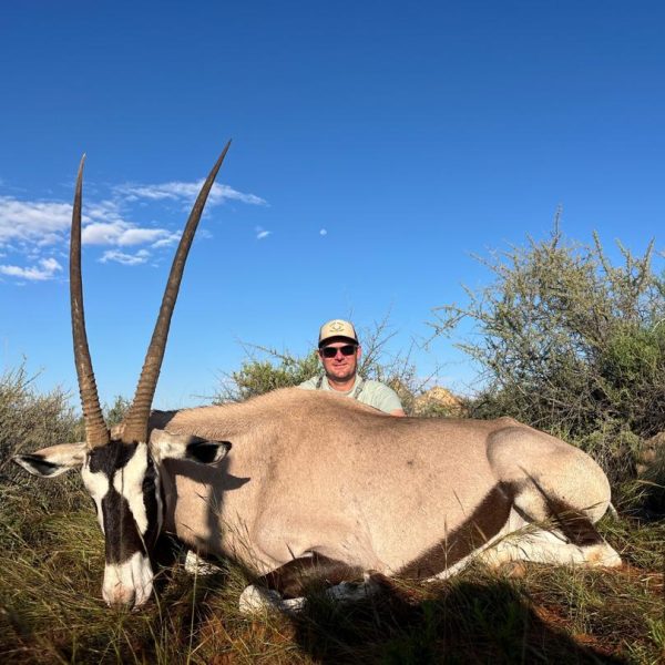 gemsbuck7
